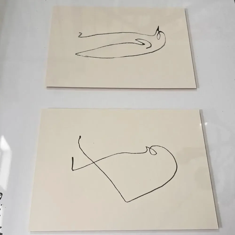 Picasso Art Lithograph Print 5 Animal Sketches IKEA Olunda Poland